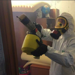 Уничтожение клопов в квартире. Чистые пруды